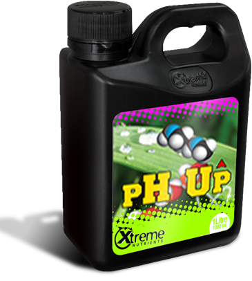 Xtreme pH Up