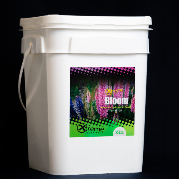 Xtreme Bloom